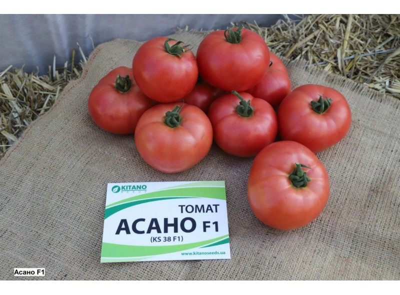 Семена томата Асано (KS 38 F1) (1000 семян), Kitano, индетерминантный